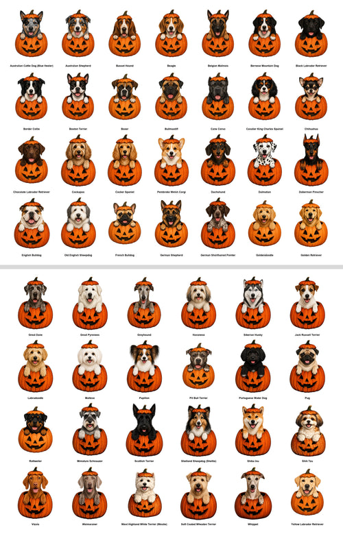 Cute Dog Breeds and Pumpkin, Halloween, Spooky, Dog Moms and Dads, Gildan Sweatshirt