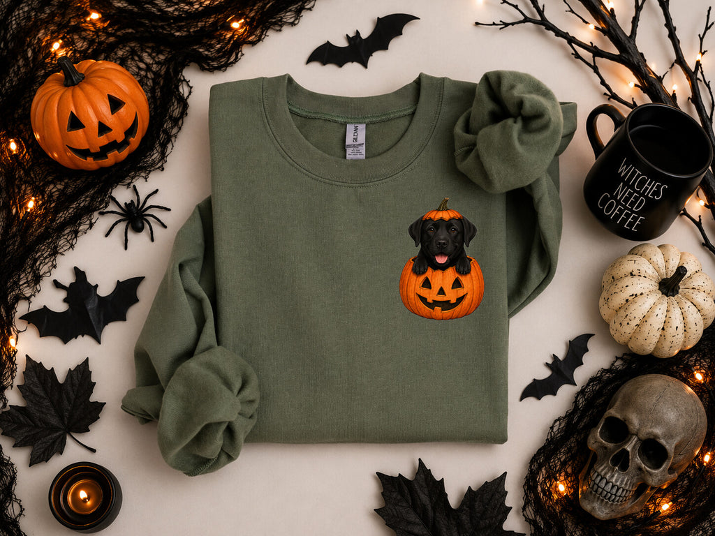Cute Dog Breeds and Pumpkin, Halloween, Spooky, Dog Moms and Dads, Gildan Sweatshirt