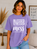 Blessed Stressed & A Little Bit of a Mess Comfort Colors T-Shirt – Trusting God Christian Faith Graphic Tee